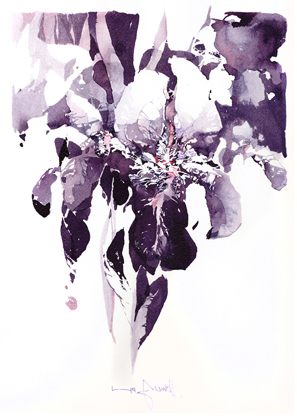 Iris flower watercolor 02